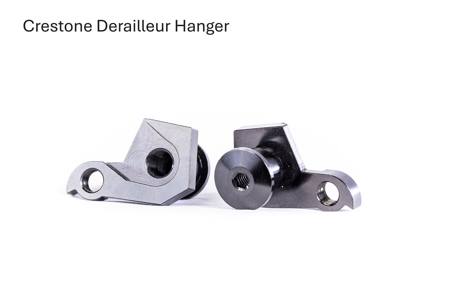 DERAILLEUR HANGERS REAR