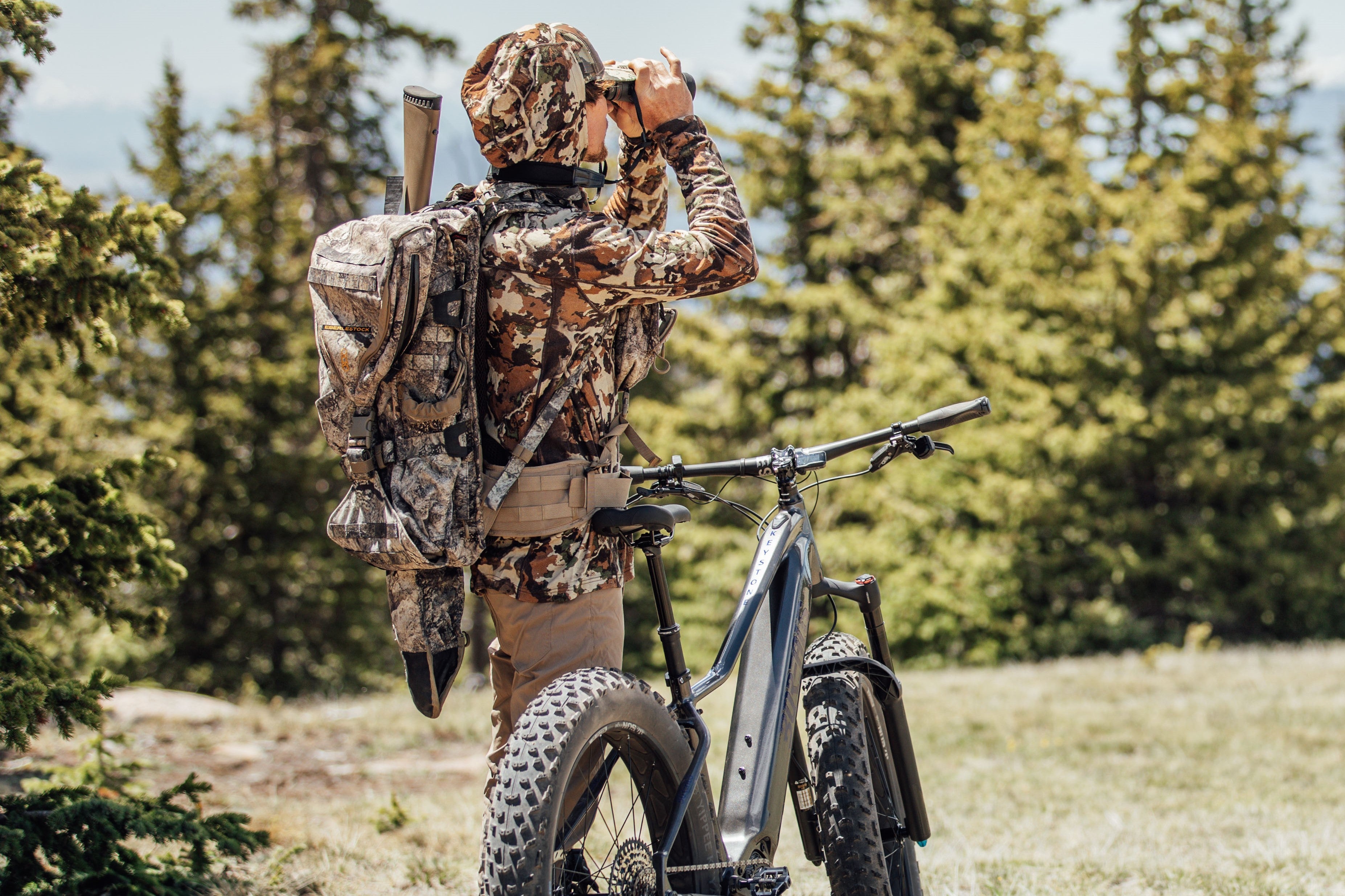 northern lights assault bike